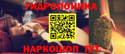 хмурый Малгобек