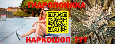 хмурый Малгобек
