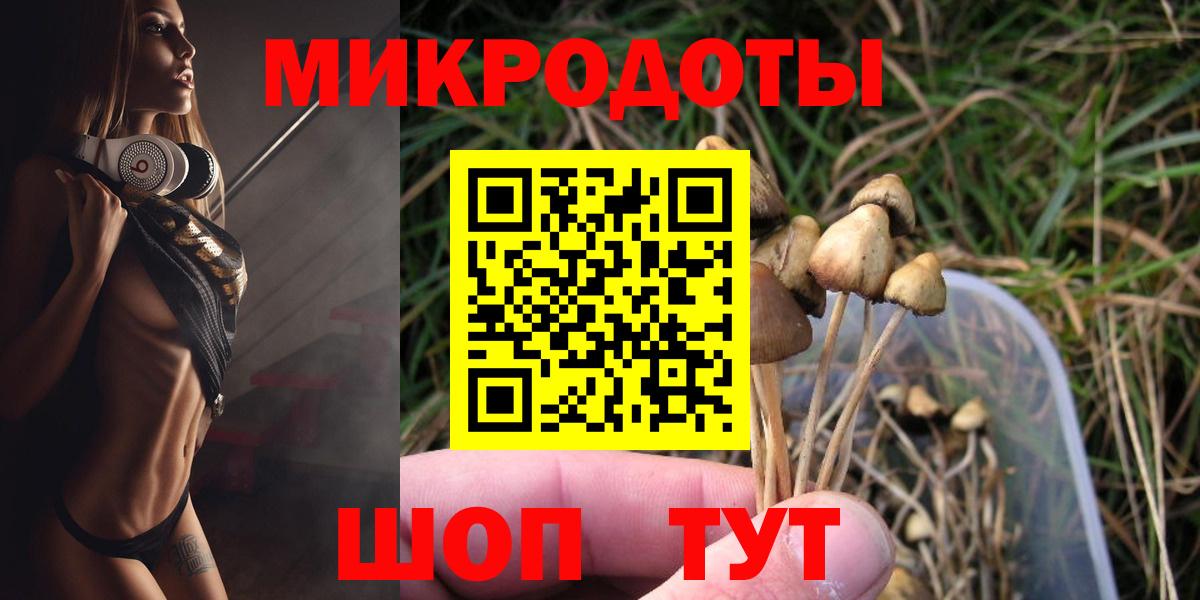 Псилоцибиновые грибы мухоморы Тверь