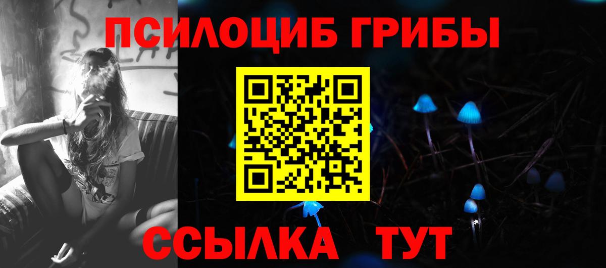 купить  сайты  Вход с VPN  Тверь  Псилоцибиновые грибы мицелий 
